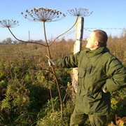 ���������� ������������, ���� ������� ����, 36 ���, ������������ ��� ������, ����� � ���������, c�������� ���������