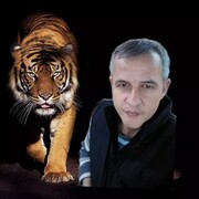  ,   Rustem, 41 ,   ,   