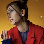 ���������� �����-���������, ���� ������� ���, 20 ���, ������������ ��� ������, ����� � ���������