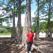  ,   Andrey, 50 ,   ,   , c 
