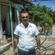  ,   Zet, 82 ,     , c 