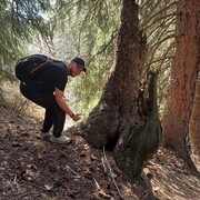 ���������� �����-���������, ���� ������� ���������, 34 ����, ������������ ��� ������, ����� � ���������, c�������� ���������