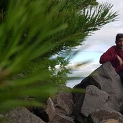 ���������� ��������, ���� ������� �������, 33 ����, ������������ ��� ������, ����� � ���������, c�������� ���������, ���������