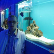  ,   , 40 ,     , c 