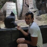 ���������� ������, ���� ������� ϸ��, 41 ���, ������������ 