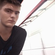  Jelcz,  , 24