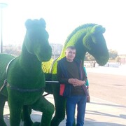 ���������� ���������, ���� ������� ������, 39 ���, ������������ ��� c�������� ���������, ���������