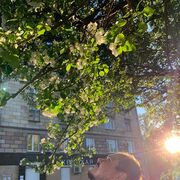 ���������� �����������, ���� ������� ���������, 37 ���, ������������ ��� ������, ����� � ���������, c�������� ���������