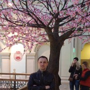  ,   , 53 ,     , c 