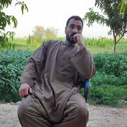 ���������� �����-���������, ���� ������� Tiger, 47 ���, ������������ ��� ������, ����� � ���������, c�������� ���������, ���������