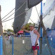 ���������� �����������, ���� ������� �����, 43 ����, ������������ 