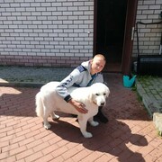   ,   , 36 ,   c , 