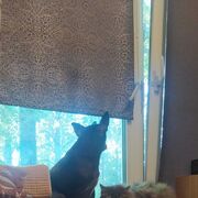 ���������� �������, ���� ������� ����������, 47 ���, ������������ ��� ������, ����� � ���������