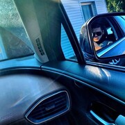 ���������� ��������, ���� ����� �����, 25 ���, ������������ ��� ������, ����� � ���������