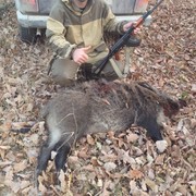 ���������� ������, ���� ������� ����, 59 ���, ������������ ��� ����� � ���������, c�������� ���������