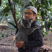  Koganei,  SONO, 62