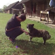 ���������� ������, ���� ������� ����, 34 ����, ������������ ��� ����� � ���������, c�������� ���������, ���������