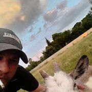 ���������� �������, ���� ������� ���������, 37 ���, ������������ ��� ������, ����� � ���������, ���������