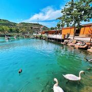 ���������� ��������, ���� ������� ����, 35 ���, ������������ ��� ������, ����� � ���������