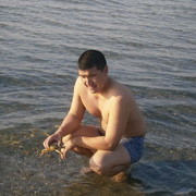 ���������� ����, ���� ������� �����, 43 ����, ������������ ��� ������, ����� � ���������, c�������� ���������