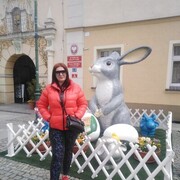 ���������� Zary, ���� ������� ����, 38 ���, ������������ ��� ������, ����� � ���������, c�������� ���������, ���������