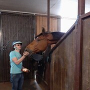 ���������� ���������, ���� ������� �����, 36 ���, ������������ ��� ������, ����� � ���������