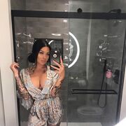 ���������� ���������, ���������