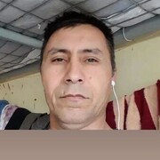 ���������� ������, ���� ������� �������, 48 ���, ������������ ��� ������, ����� � ���������