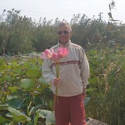  ,   , 101 ,  