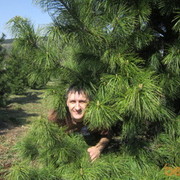 ���������� �����������, ���� ������� ALEKSANDR, 51 ���, ������������ ��� ������, ����� � ���������, c�������� ���������