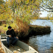 ���������� �������, ���� ������� ��������, 42 ����, ������������ ��� c�������� ���������