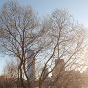 ���������� �����, ���� ������� ����, 30 ���, ������������ ��� ������, ����� � ���������, c�������� ���������