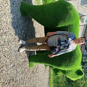  --,   , 68 ,   c 