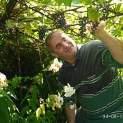 ���������� ������, ���� ������� ����, 56 ���, ������������ ��� ����� � ���������, c�������� ���������