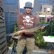 ���������� Ludinghausen, ���� ������� Borad11, 42 ����, ������������ ��� ������