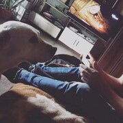 ���������� ������, ���� ������� Maxim, 28 ���, ������������ ��� ������, c�������� ���������, ���������