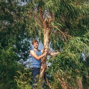 ���������� �����������, ���� ������� �������, 29 ���, ������������ ��� ������, ����� � ���������, c�������� ���������