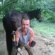 ���������� ���������, ���� ������� �������, 48 ���, ������������ 