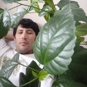 ,   , 44 ,   ,   