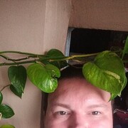 ���������� �����-���������, ���� ������� ���������, 39 ���, ������������ ��� c�������� ���������