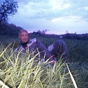 ���������� ����-��������, ������� ���������, 43