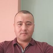 -,   , 42 ,  
