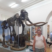 ���������� ����, ���� ������� ���������, 43 ����, ������������ ��� ������, ����� � ���������, c�������� ���������