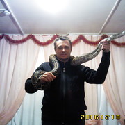  ,   , 56 ,     , c 