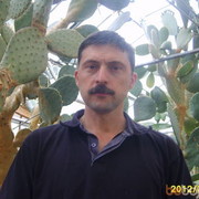  ,   , 56 ,     , c 