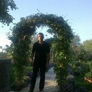  ,   , 40 ,   c 