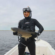 ���������� ������-��-����, ���� ������� ����  �, 65 ���, ������������ ��� ���������