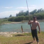  ,   , 36 ,  