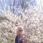 ���������� �������, ���� ������� �����, 41 ���, ������������ ��� ������, ����� � ���������, c�������� ���������