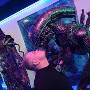 ���������� ������, ���� ������� ������, 31 ���, ������������ ��� ������, ����� � ���������, c�������� ���������